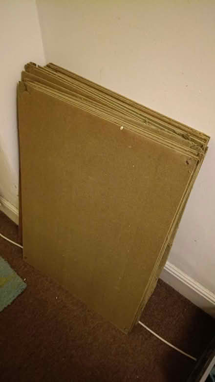 Photo of free Fibreboard Underlay (S2 Heeley) #1