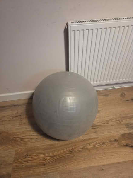 Photo of free Exercise ball (L25) #1