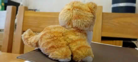 Photo of free Little Ginger Kitty soft toy (Baldock, SG7) #3