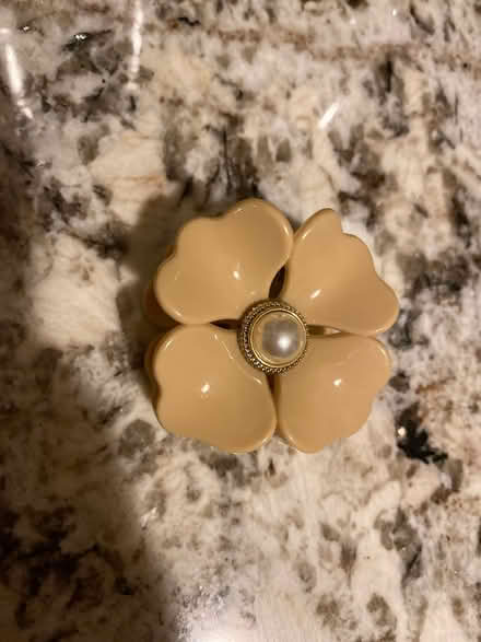 Photo of free Flower hair clip (AL4, St albans) #1