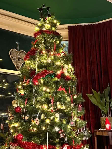 Photo of free 7ft Artificial Christmas Tree (Causewayhead FK9) #1