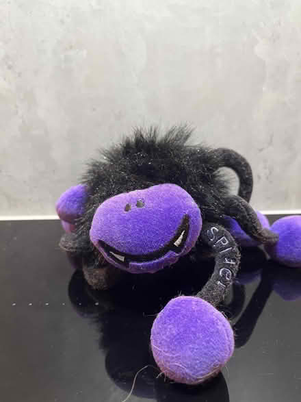 Photo of free Purple spider (Malvern Link WR14) #1