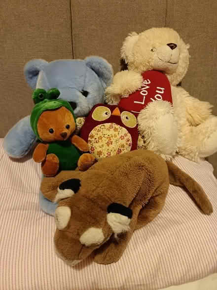 Photo of free Teddies (Gorse Hill M32) #1