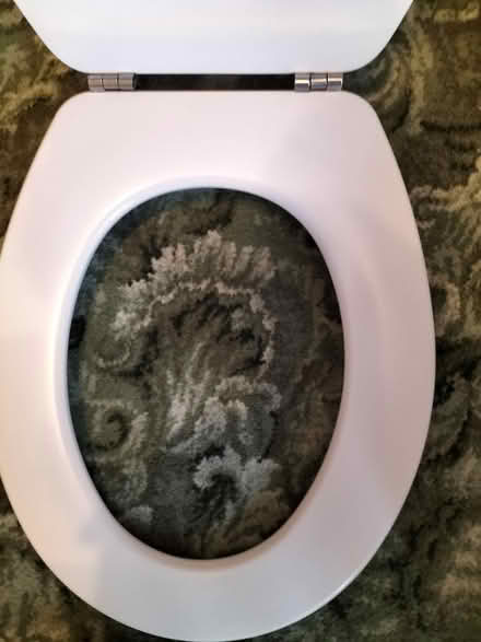 Photo of free Wooden Toilet Seat Excellent Cond (Hilsea Portsmouth PO2) #2