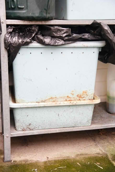 Photo of free Compost worms in two tupperware (Dingle L8) #1