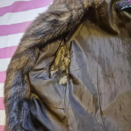 Photo of free Ladies fur animal skin jacket (Boggart hill LS14) #3