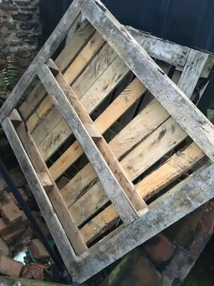 Photo of free Pallets- 3 (Langwathby CA10) #1