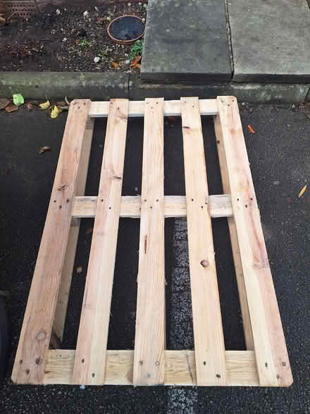 Photo of free Pallet (M27 6GL) #1