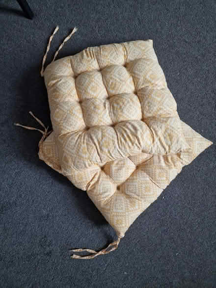 Photo of free Chair cushions x2 (TW106UH) #1