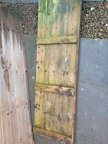 Photo of free Timber garden gate and side panel (Hoole Village CH2) #2