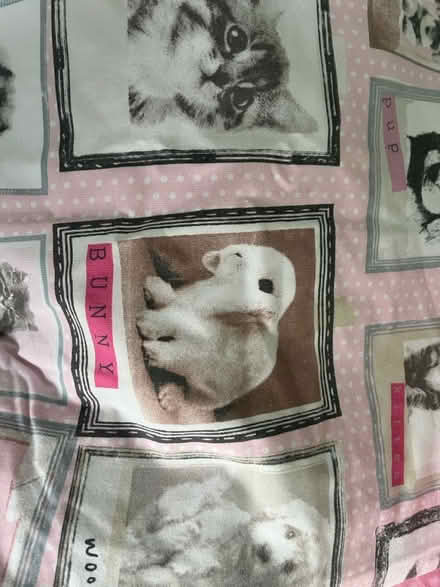 Photo of free Girls Double bedding (Thurnby Leicester LE7) #3