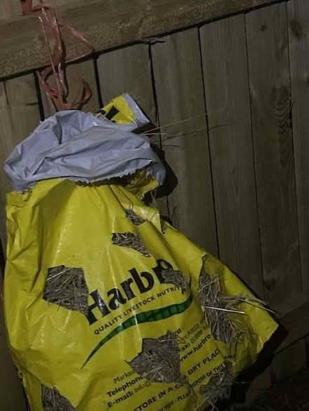 Photo of hay racks for goats/rare sheep with horns (Westown PH2) #1