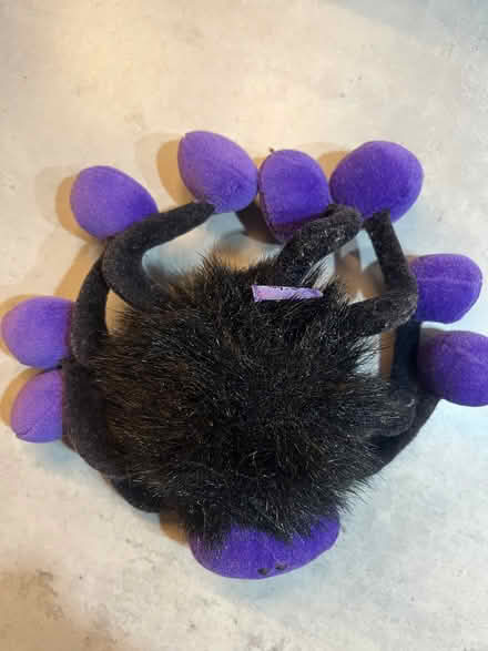 Photo of free Purple spider (Malvern Link WR14) #3