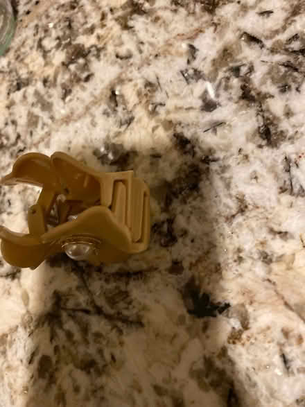 Photo of free Flower hair clip (AL4, St albans) #2