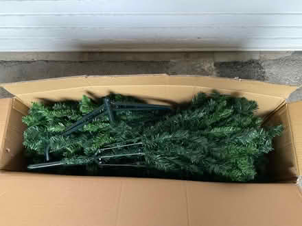 Photo of free Christmas tree (Worlds End Burgess Hill) #3