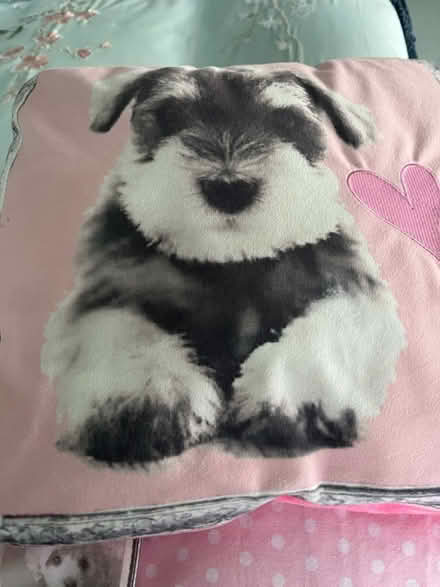 Photo of free Girls Double bedding (Thurnby Leicester LE7) #2