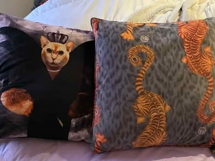 Photo of free Two cushions (Sydenham SE26) #1