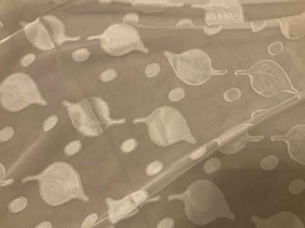 Photo of free X2 Pieces Voile/Net (North Shields Fish Quay NE29) #2