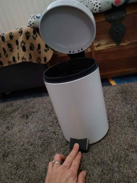 Photo of free Bathroom bin (Osmaston DE24) #2