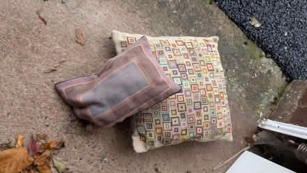 Photo of free Old cushions (Priory Ward EX2) #1