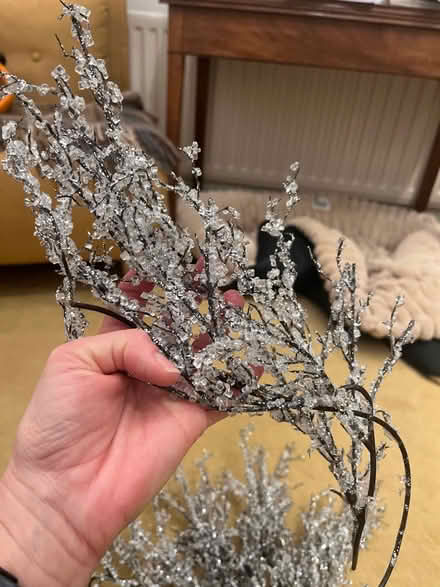 Photo of free Christmas decorations (Blacklands TN34) #2