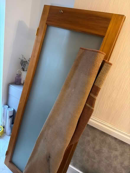 Photo of free 2 internal glass doors one rug (Southall UB1) #1