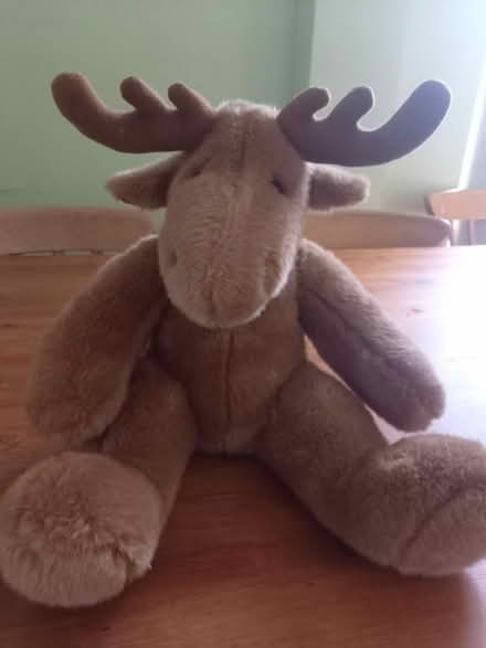 Photo of free Bear factory teddy (Mottingham) #1