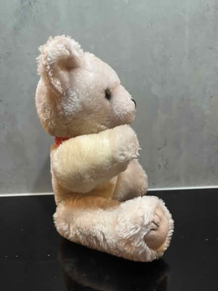 Photo of free Small Teddy (Malvern Link WR14) #1