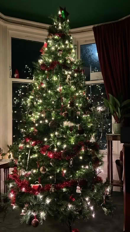 Photo of free 7ft Artificial Christmas Tree (Causewayhead FK9) #2