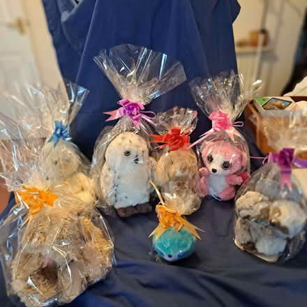 Photo of free Soft Toys (Charminster BH8) #1