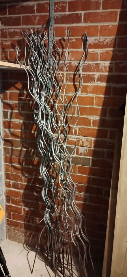 Photo of free Bean/pea poles/ wigwam (Pudsey LS28) #1