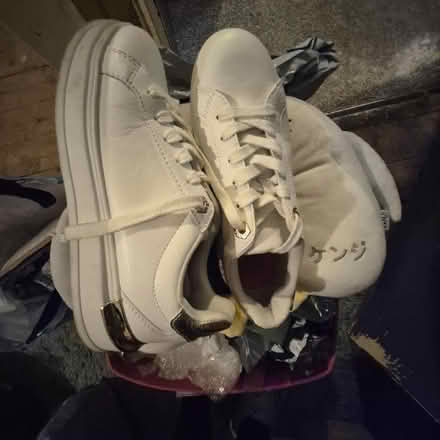 Photo of free Trainers (Blacon CH1) #2