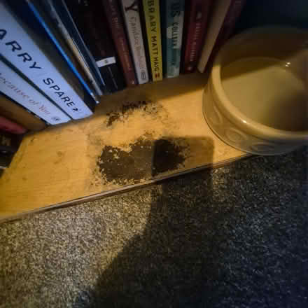 Photo of free Small bookcase (Blacon CH1) #2