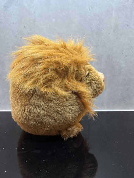 Photo of free Soft toy lion (Malvern Link WR14) #3