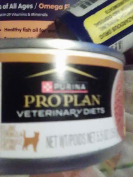 Photo of free Sick Kitty Items 10031 (Hamilton Heights 10031) #2