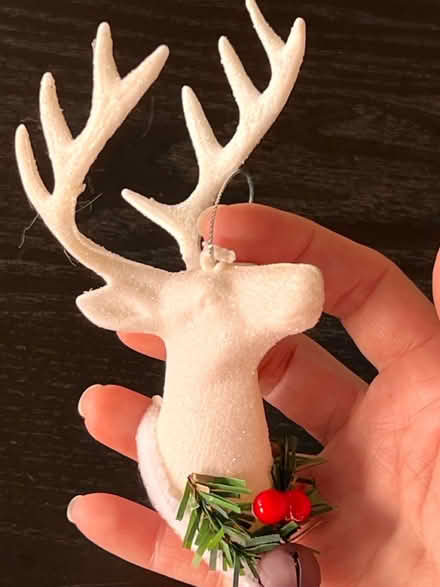 Photo of free Reindeer ornaments (Arlington, VA) #1