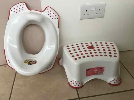 Photo of free Toddler stand and toilet seat (Bridestowe, Okehampton, Devon) #1