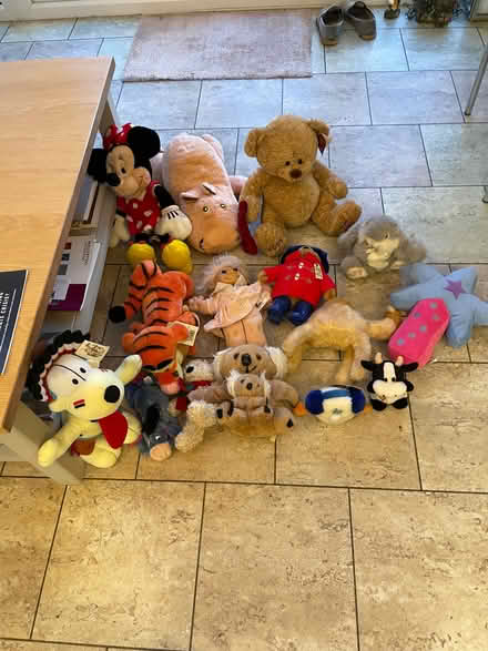 Photo of free Various soft toys (Welling DA6) #2