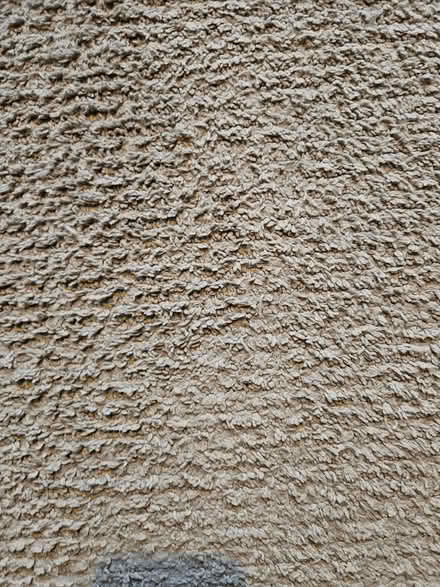 Photo of free Ikea beige rug (Beckenham) #2