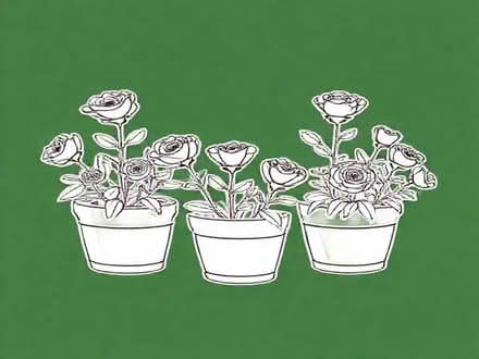 Photo of Empty large tubs of Roses, Quality Street etc (Loughton IG10) #1