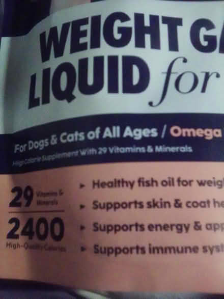 Photo of free Sick Kitty Items 10031 (Hamilton Heights 10031) #1