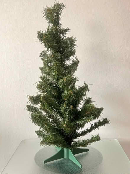 Photo of free Miniature Christmas Tree (Arlington, VA) #1