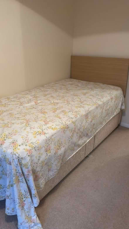 Photo of free Single bed and headboard (Southgate N14) #2