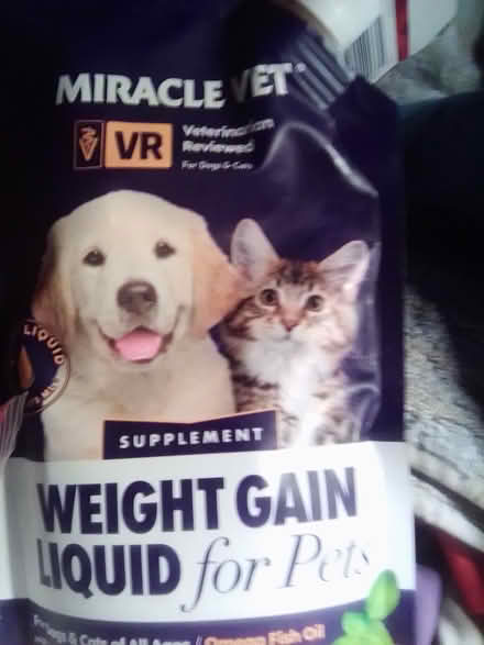 Photo of free Sick Kitty Items 10031 (Hamilton Heights 10031) #4