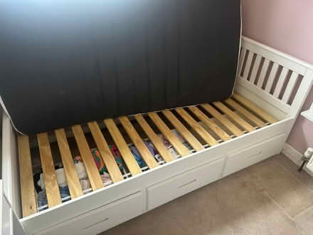 Photo of free Single Bed (Whitelea NE23) #1