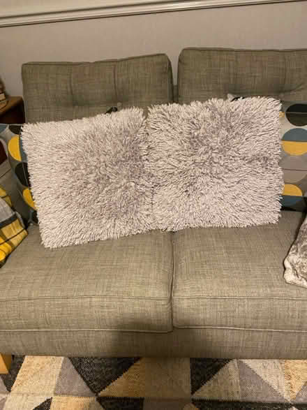 Photo of free Cushions (Norwich) #1