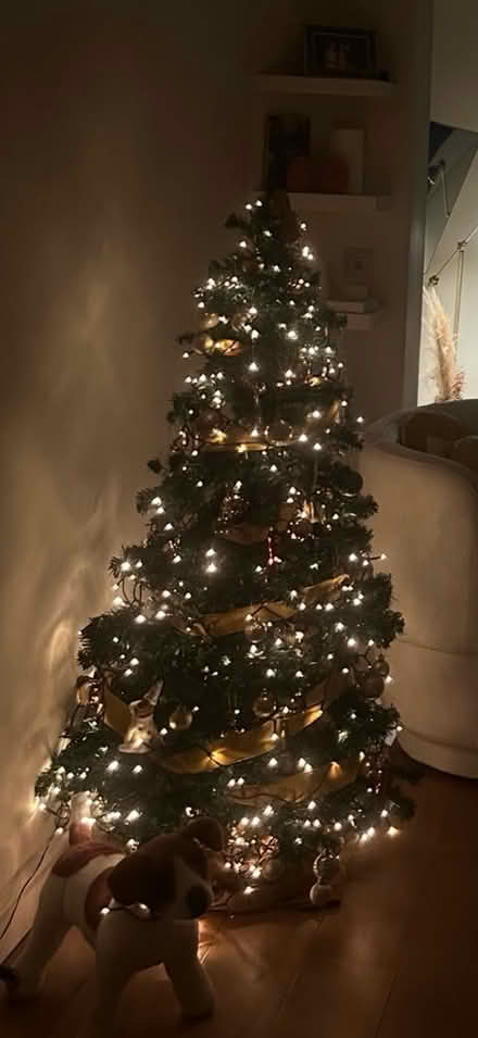 Photo of free Christmas tree plastic (Notting Hill W9) #1