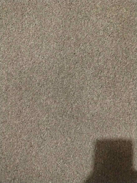Photo of free Used gray carpet +underlay (De216FJ) #1