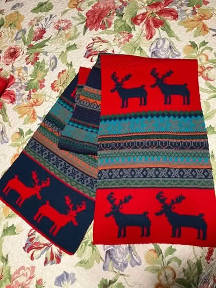 Photo of free Xmas skirt and scarf (south sunnyvale) #3