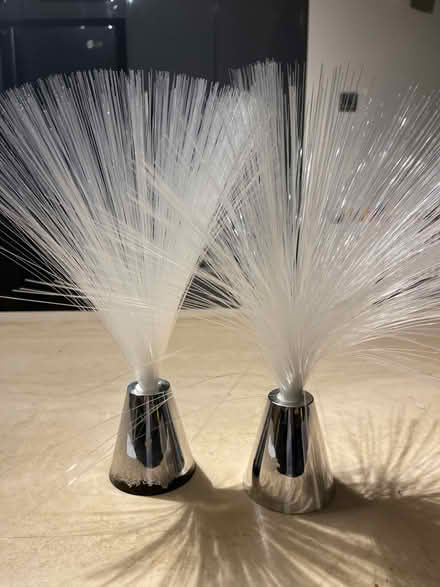 Photo of free 2 decorative fibre optic lights (Heswall CH60) #1